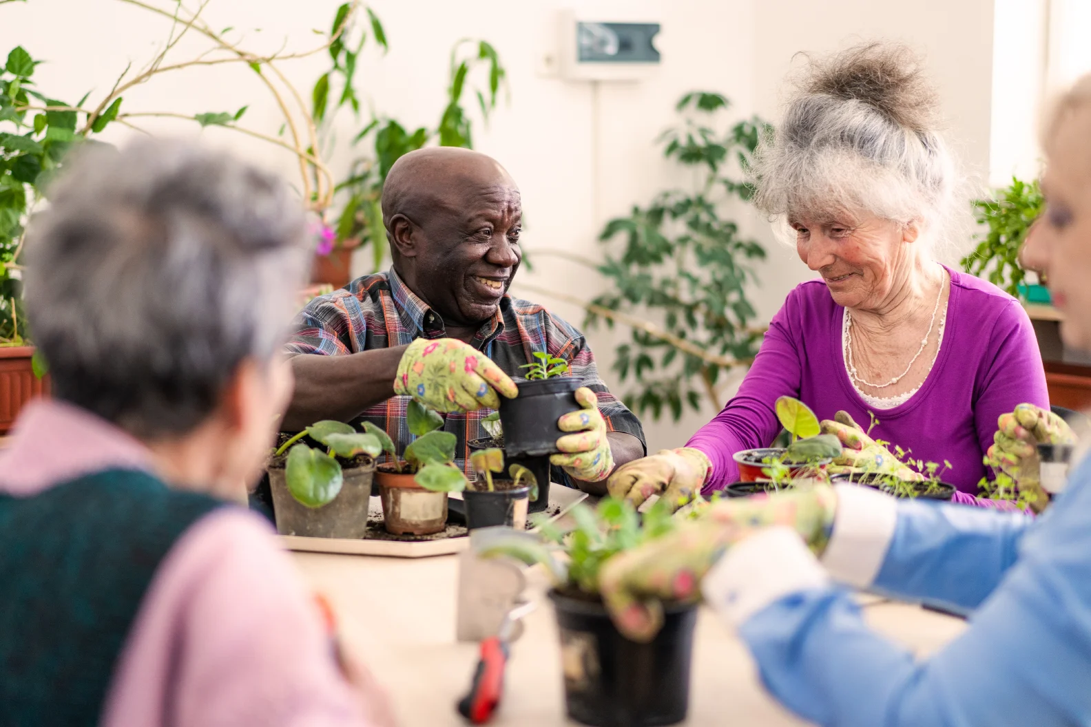 seniors gardenings